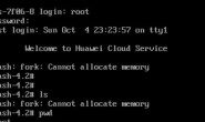 -bash: fork: Cannot allocate memory 问题的处理【显哥出品,必为精品】